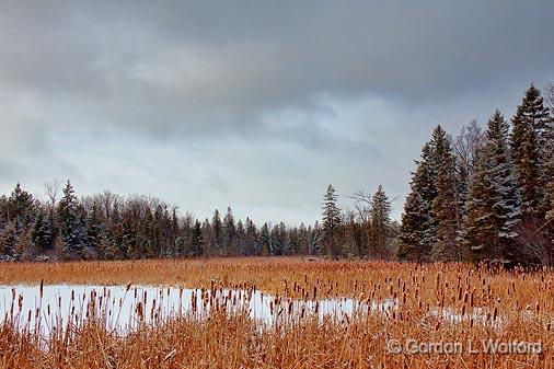 Marsh In Winter_14118.jpg - Photographed at Ottawa, Ontario - the capital of Canada.